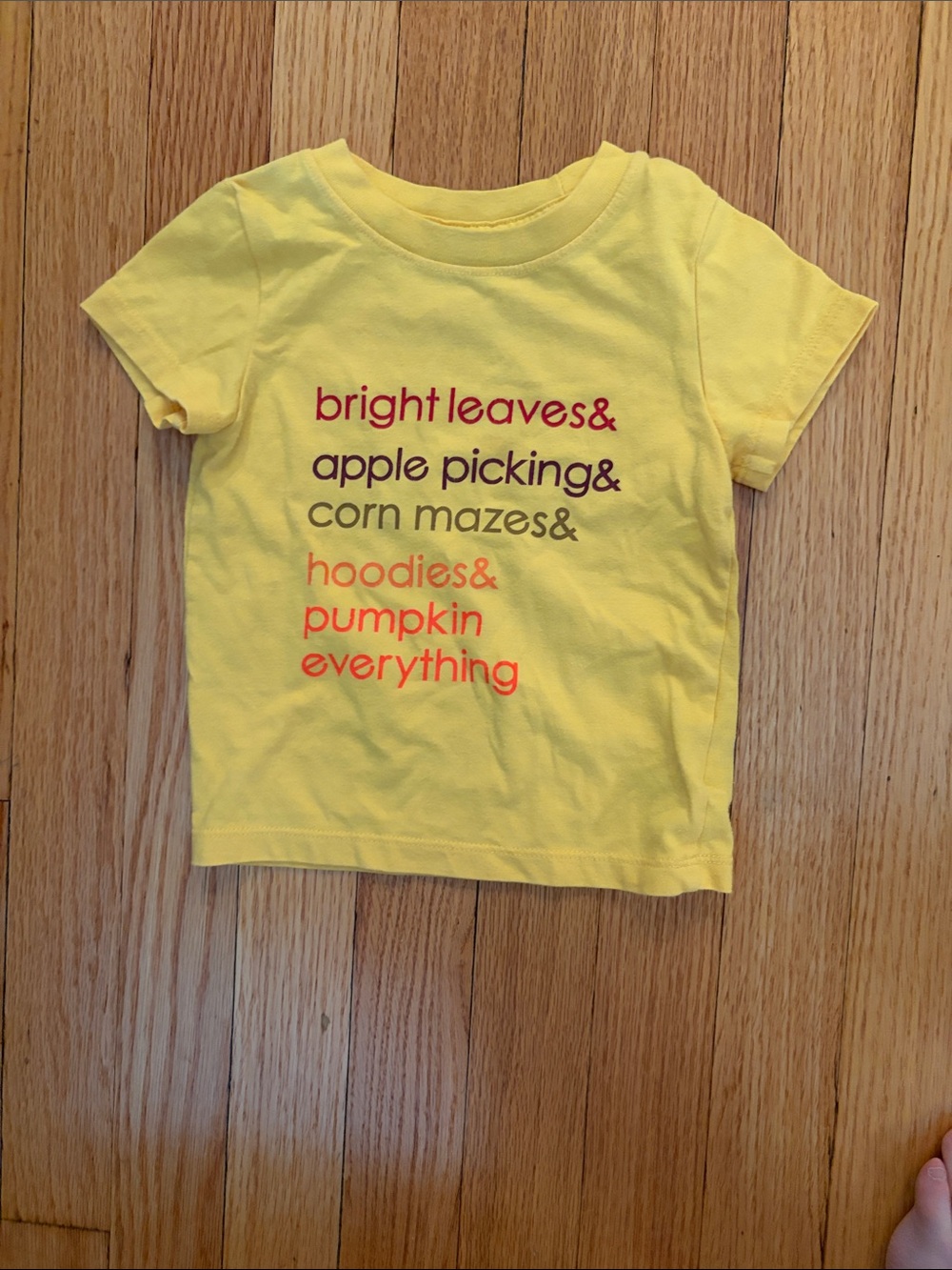 12m Baby Girl Clothes Bundle - Picture 5 of 17